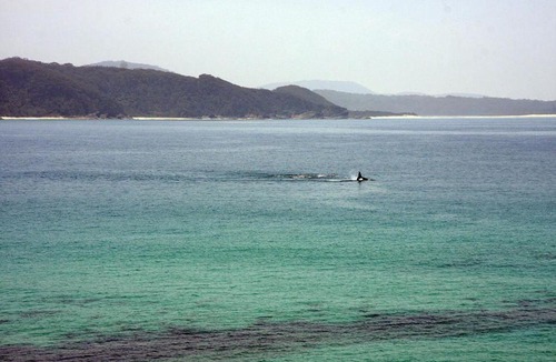 Seal Rocks House | FAR SHORE