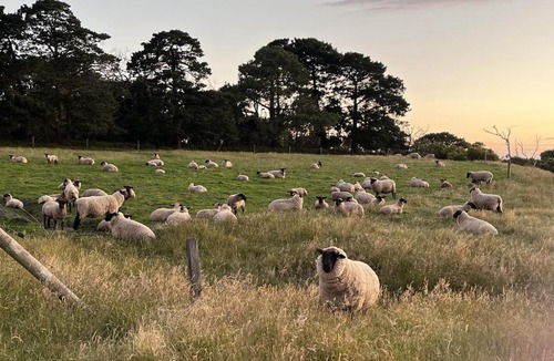 Tarwin Lower House | Farm Stay at Flock Stock & Basil