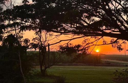 Foxdale House | Feng Shui Sugarcane Cabin
