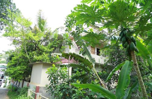 Thekkady House | Ferndale Homestay