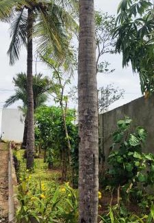 Covelong Beach Hotel | Fun World Beach Park
