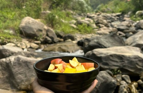 Pauri Hotel | Geeta Ji - Forest Retreat