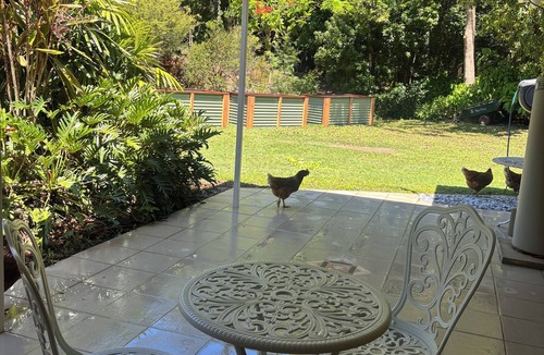 Ninderry Apartment | Granny flat surrounded by gardens, close to town and 15 mins from Coolum Beach