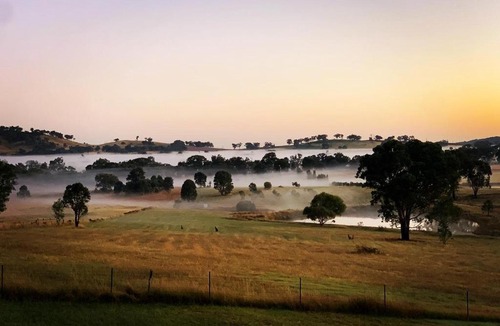 Grattai House | Grattai Grove Mudgee