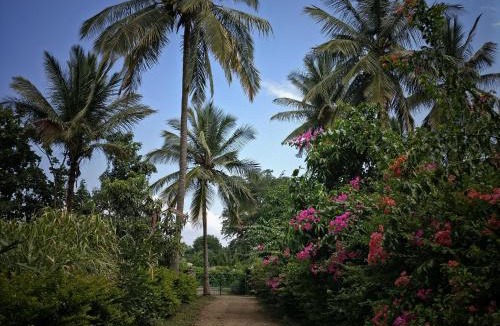 Masinagudi House | Green acres