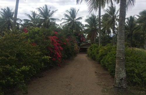 Masinagudi House | Green acres