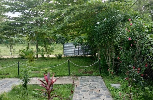 Masinagudi House | Green hills farm and guest house aachakarai masinagudi