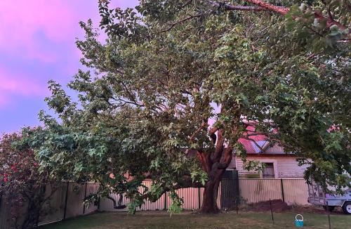 East Devonport House | Guest House in East Devonport