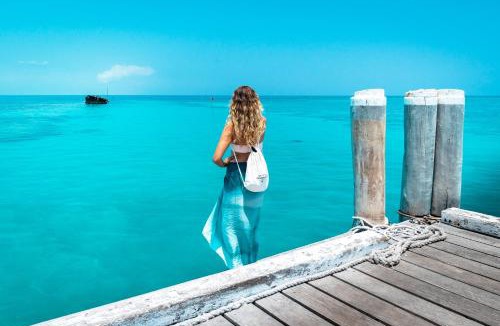 Heron Island Resort | Heron Island