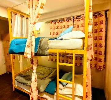 Darjeeling Hostel | Hidden Monkey Stays Darjeeling, Batasia