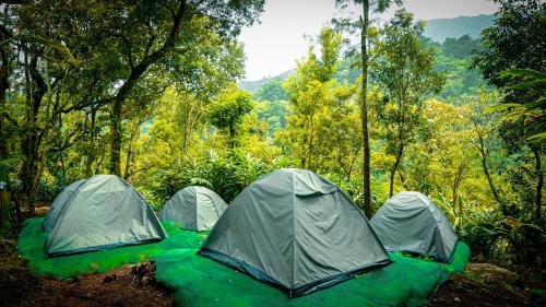 Lakkidi Other | Hidden Valley Wayanad
