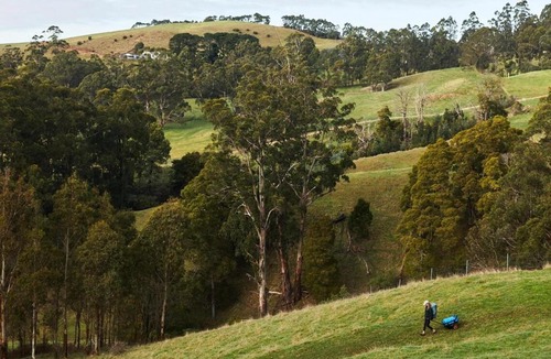 Hallston House | Hike to your Off-Grid Cabin Deep in Nature - Santi
