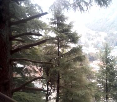 Dharamshala Bed & Breakfast | Himalayan Mountain Triund Hill Trekkers and Waterfalls View Hostel