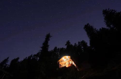 Jibhi Ski Chalet | Himalayan Quails Nest Treehouse