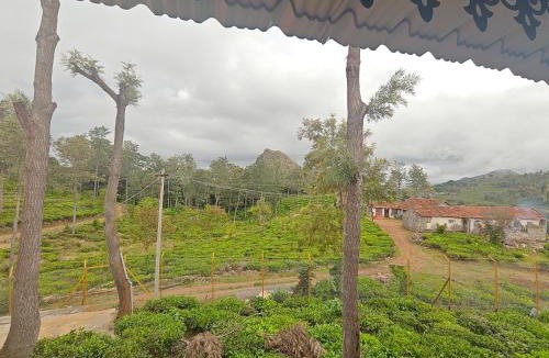 Kotagiri Resort | Hornbill Jungle Resort Kotagiri