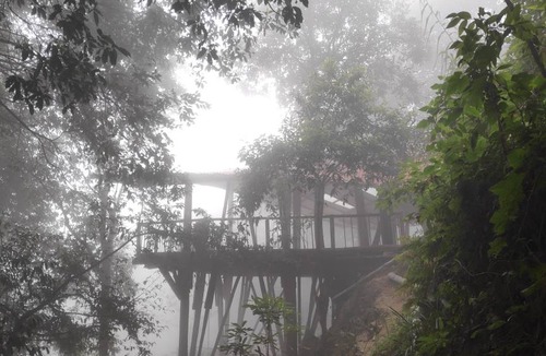 Darjeeling Hostel | Hostel ∙ 8 guests