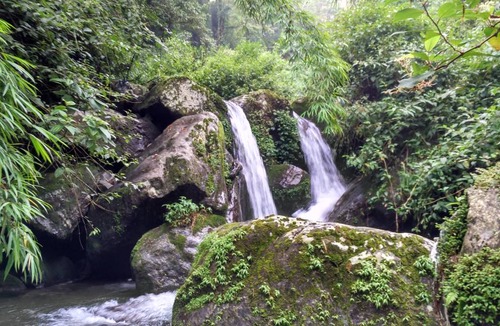 Darjeeling Hostel | Hostel ∙ 8 guests