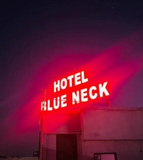Danapur Hotel | Hotel Blue Neck
