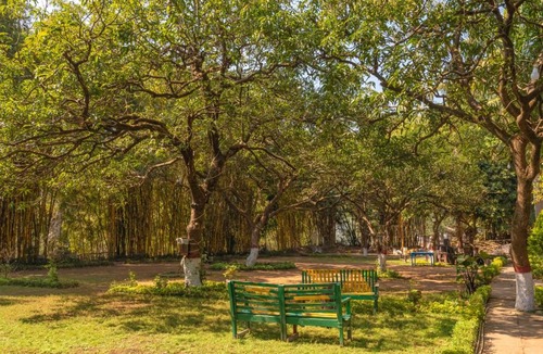 Pachmarhi Hotel | Hotel Misty Meadows by Vanyum