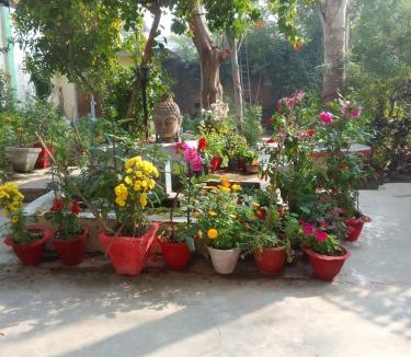 Khajuraho Hotel | Hotel Zen