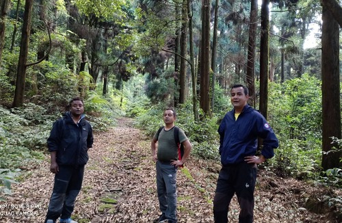 Tukdah Forest House | House with homestay . world famous Flowers nursery and pine trees jungle