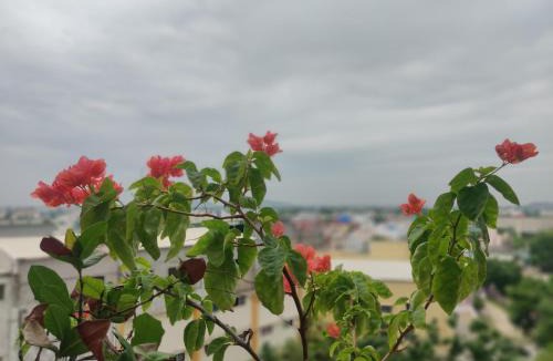 Chennai Apartment | Hyku's cute home!