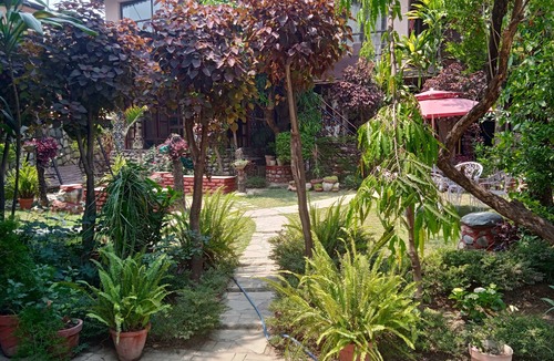 Bullawala House | Deluxe cozy nest 1 room set