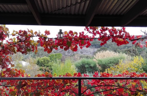 Beechworth House | Indigo Cottage:Warm and cosy, open fire. Lockable bike storage and pet friendly.