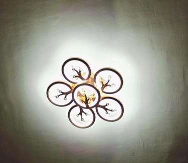 Indore House | Jain Home Stay 1
