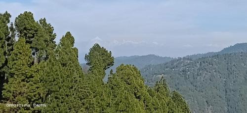 Mukteshwar House | Jaishnavi Homestay And Restaurant