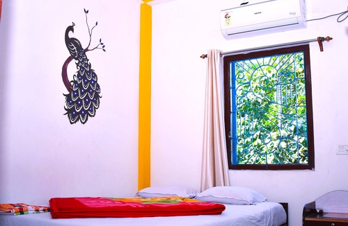 Alipurduar House | Jaldapara Binay Chapa Homestay