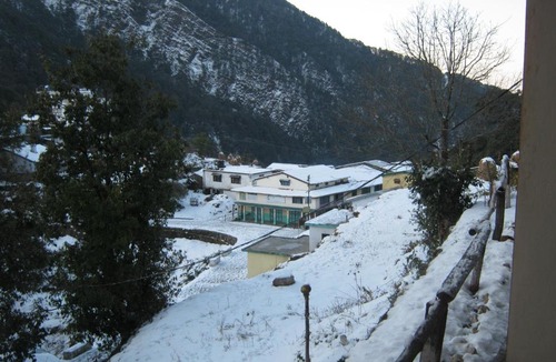 Pangot Resort | Janardan Resort Pangot - Nainital