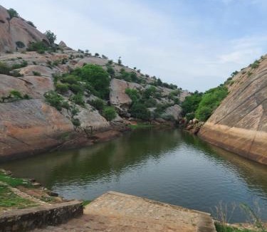 Sena House | JAWAI WILD LODGE