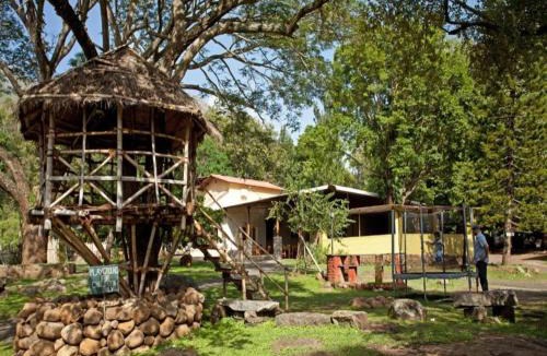Masinagudi Resort | Jungle Hut Resort
