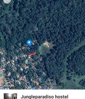 Thekkady Hostel | Jungleparadiso Hostel