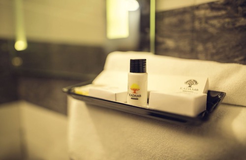 Vrindavan Hotel | Kadamb Spritual Stay