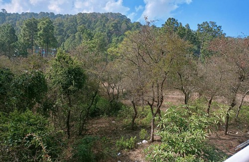 Kuthar House | Kasauli Night