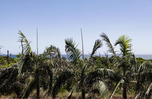 Byron Bay Villa | Kiah Beachfront Villa