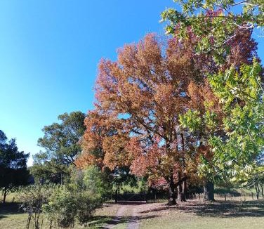 Valery House | King Bed on Mid North Coast 8 mins A1