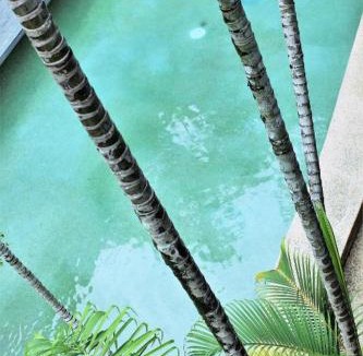 Cairns Central Business District Hotel | Koala Beach Resort Cairns