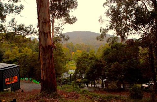 Millgrove House | Kookaburra's Perch