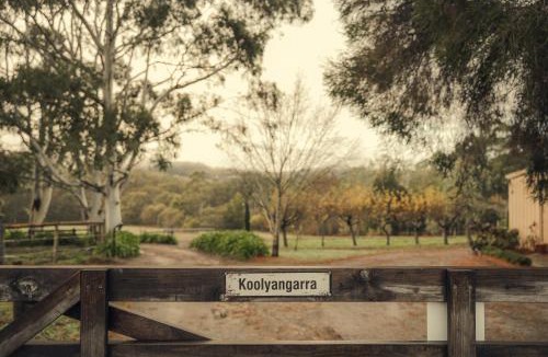 Carey Gully Villa | Koolyangarra Cottage Adelaide Hills