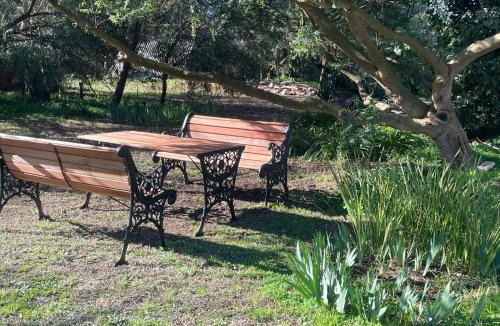 Burra Bed & Breakfast | Kooringa Cottage