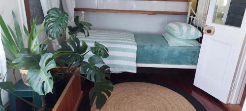 Kyogle House | Kyogle's White House - 4 Bed 2Bath