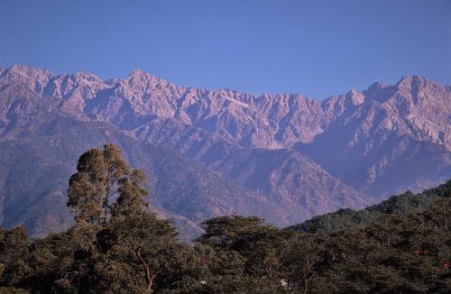 Palampur Villa | Lamrin Norwood Green Palampur, Himachal Pradesh