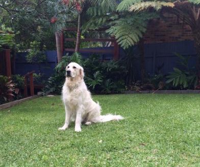 Lilli Pilli House | LILLI PILLI SUBLIME - Family & Dog-Friendly Beach House, Batemans Bay