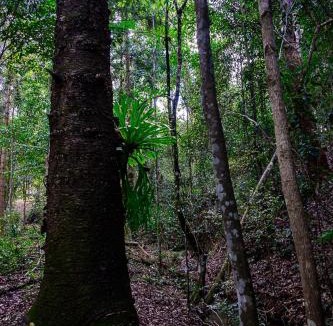 Traveston House | Little Soho- Romantic Vintage Stay l Noosa Hinterland