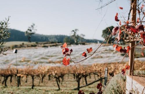 Drummond North House | Little Vineyard Caboose