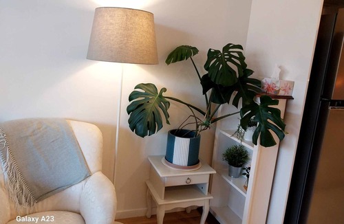 Dickson Apartment | Luxury Apartment in Dickson, Canberra