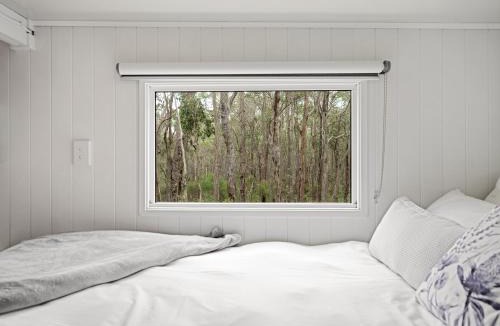 Rosa Glen Apartment | Luxury Tiny Homes in the Forest